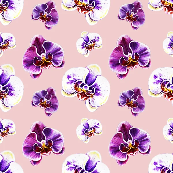 Seamless Pattern Watercolor Orchid Flowers — Stock Photo, Image