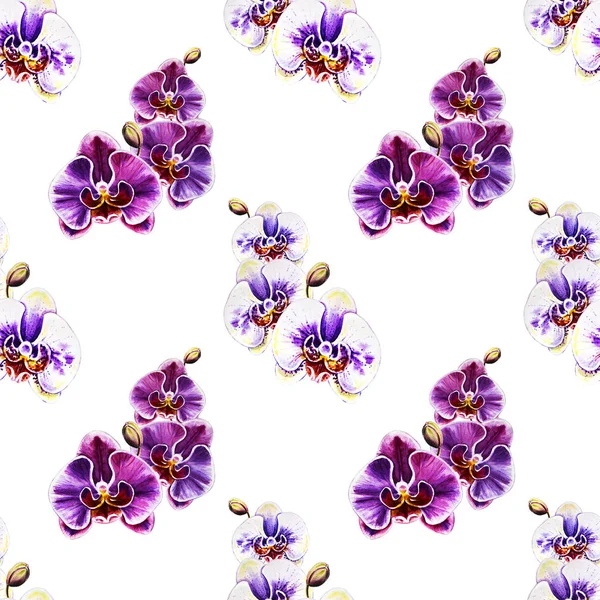 Modello Senza Cuciture Con Fiori Orchidea Acquerello — Foto Stock