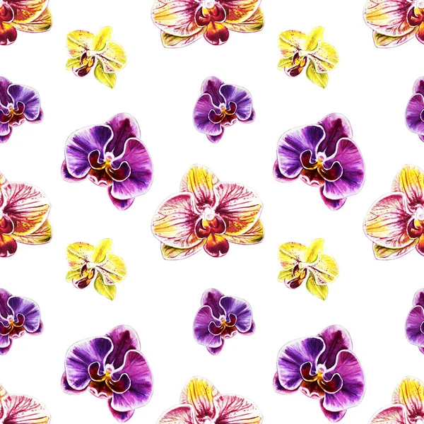 seamless pattern with watercolor orchid flowers 
