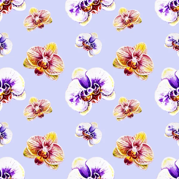 无缝模式与水彩的兰花花 — 图库照片