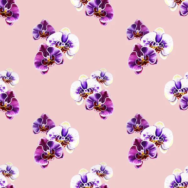 Seamless Pattern Watercolor Orchid Flowers — Stock Photo, Image