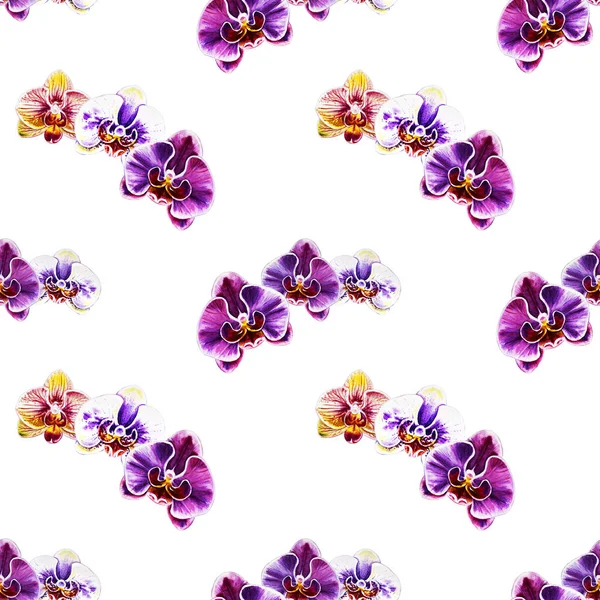 Patrón Sin Costura Con Flores Orquídea Acuarela —  Fotos de Stock
