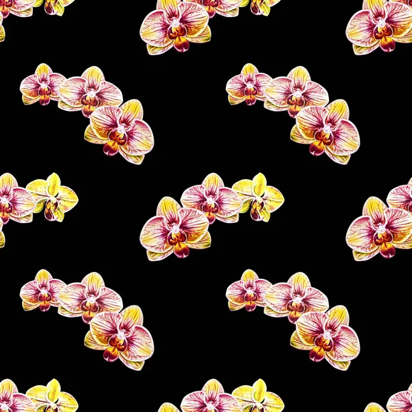 Modello Senza Cuciture Con Fiori Orchidea Acquerello — Foto Stock