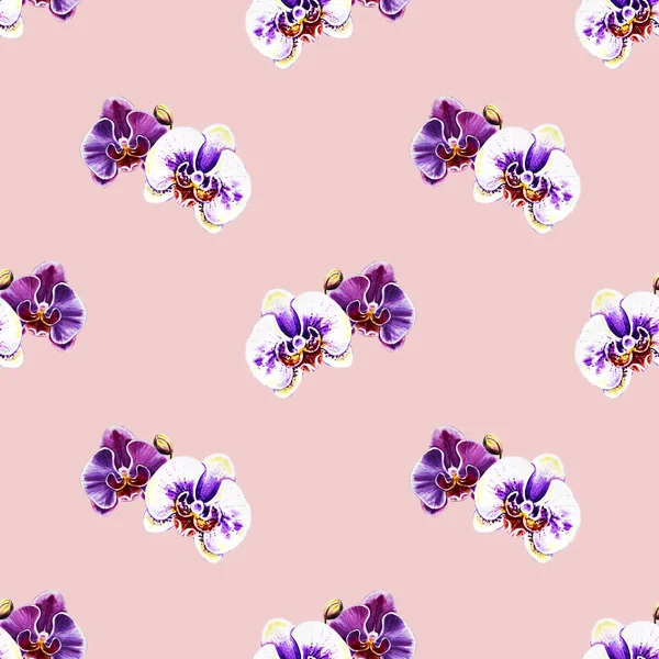 水彩の蘭の花のシームレス パターン — ストック写真