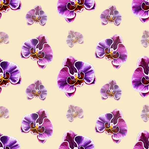 Suluboya Orkide Çiçekleri Ile Seamless Modeli — Stok fotoğraf