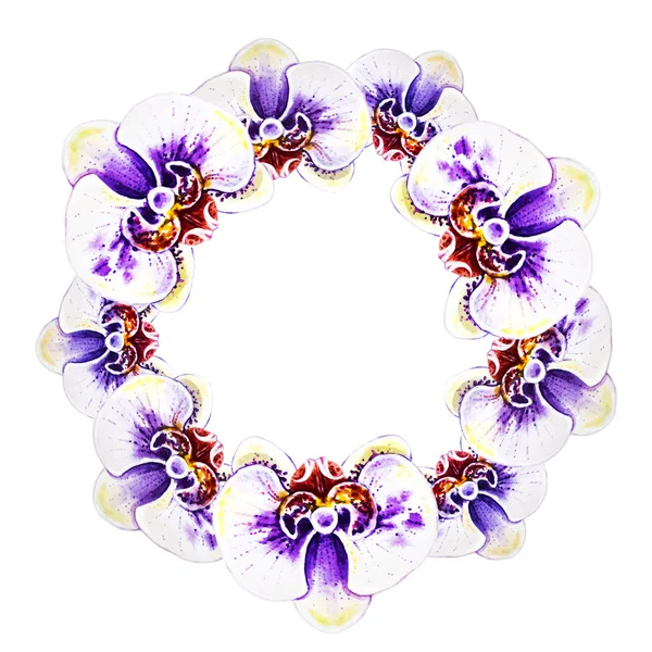 Ilustración Acuarela Marco Flores Orquídea — Foto de Stock