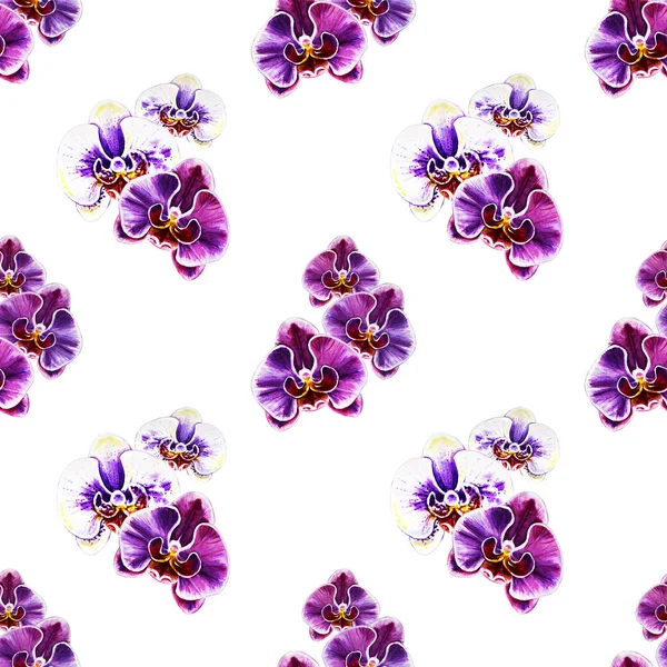 Seamless Pattern Watercolor Orchid Flowers — Stock Photo, Image