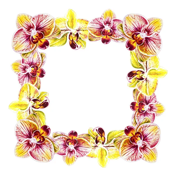 Acquerello Illustrazione Cornice Fiori Orchidea — Foto Stock