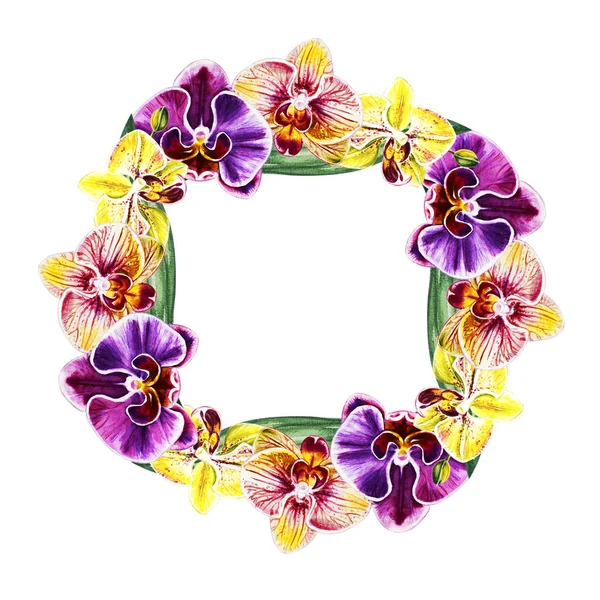 Ilustracja Akwarela Kwiat Orchidei Ramki — Zdjęcie stockowe