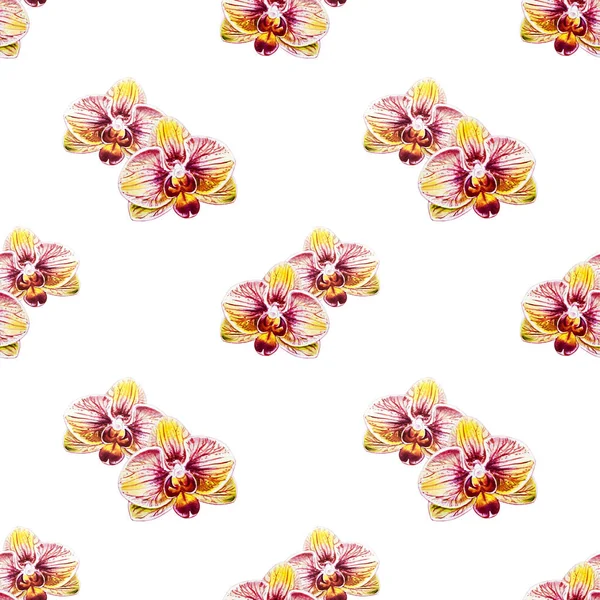 Suluboya Orkide Çiçekleri Ile Seamless Modeli — Stok fotoğraf