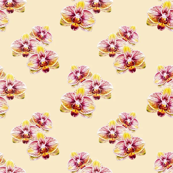 Seamless Pattern Watercolor Orchid Flowers — Stock Photo, Image