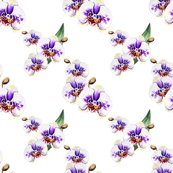 Seamless Pattern Watercolor Orchid Flowers — Stock Photo, Image