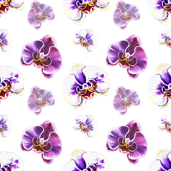 Цветы Орхидеи Акварелью — стоковое фото