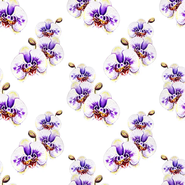 Seamless Pattern Watercolor Orchid Flowers — Stock Photo, Image