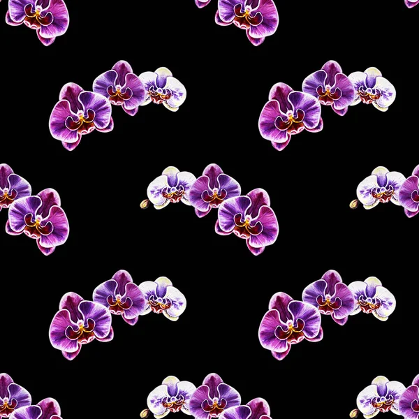 Seamless Pattern Watercolor Orchid Flowers — Stock Photo, Image