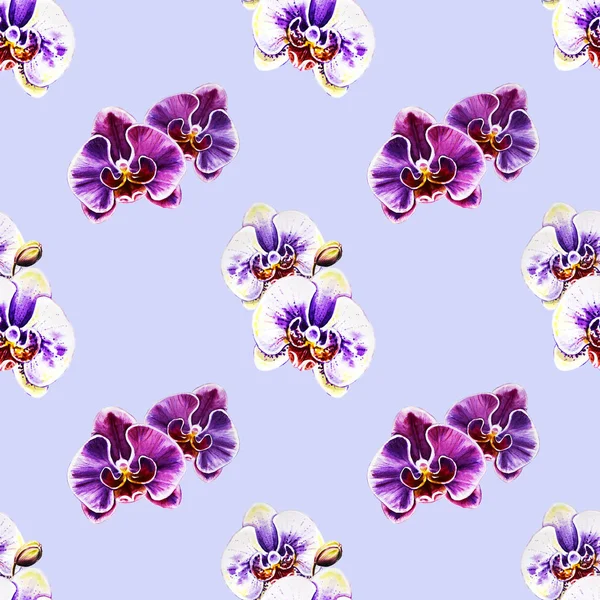 seamless pattern with watercolor orchid flowers 