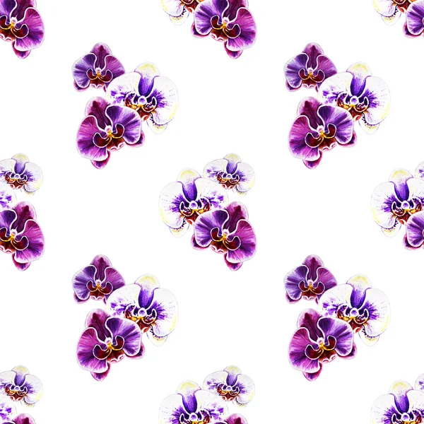 seamless pattern with watercolor orchid flowers 