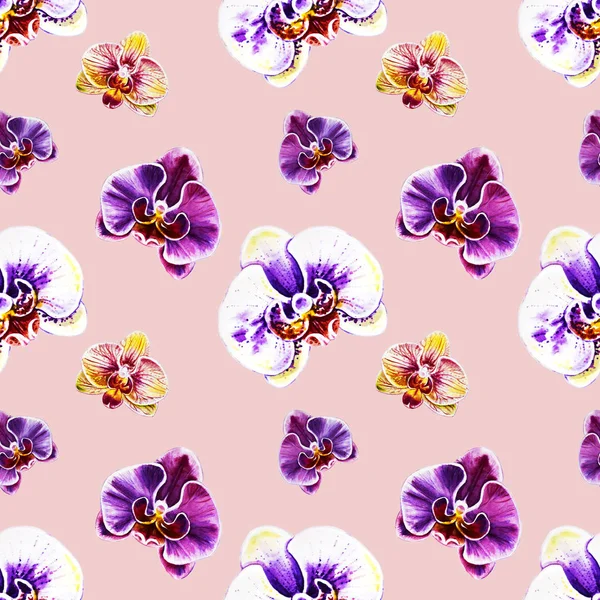 Seamless Pattern Watercolor Orchid Flowers — Stock Photo, Image