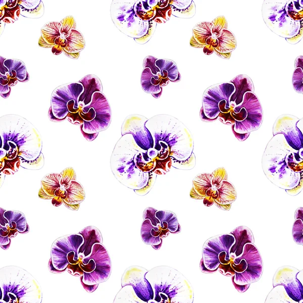 seamless pattern with watercolor orchid flowers 