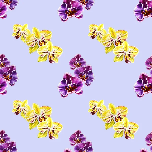 Modèle Sans Couture Avec Des Fleurs Orchidée Aquarelle — Photo