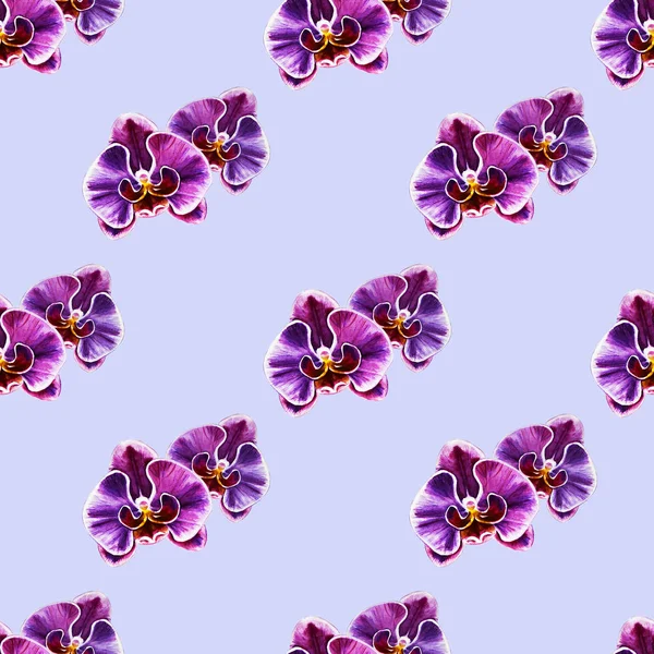 Seamless Pattern Watercolor Orchid Flowers — Stock Photo, Image