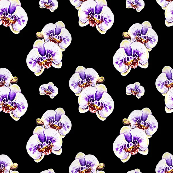水彩の蘭の花のシームレス パターン — ストック写真