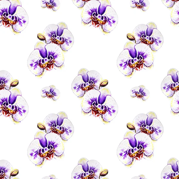 Seamless Pattern Watercolor Orchid Flowers — Stock Photo, Image