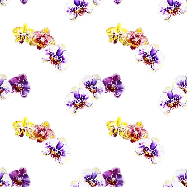 Seamless Pattern Watercolor Orchid Flowers — Stock Photo, Image