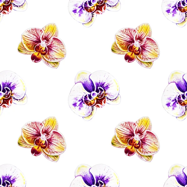 Modèle Sans Couture Avec Des Fleurs Orchidée Aquarelle — Photo