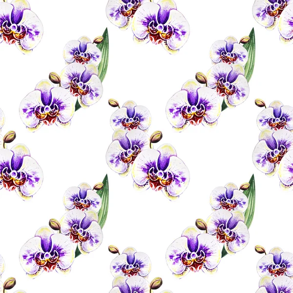 Seamless Pattern Watercolor Orchid Flowers — Stock Photo, Image