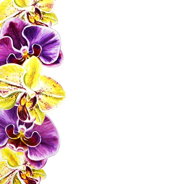 Akvarel Ilustrace Kvetoucích Květů — Stock fotografie