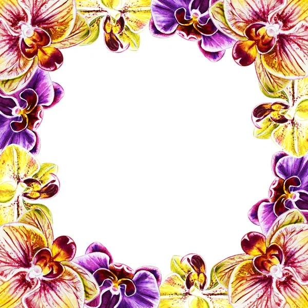 Watercolor Illustration Orchid Flowers Frame — Stock Photo, Image