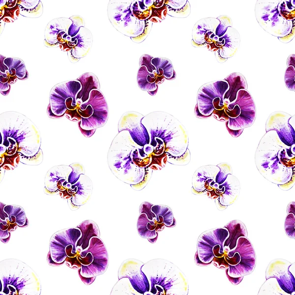 Χωρίς Ραφή Πρότυπο Ακουαρέλα Orchid Λουλούδια — Φωτογραφία Αρχείου