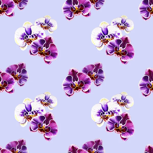 seamless pattern with watercolor orchid flowers 
