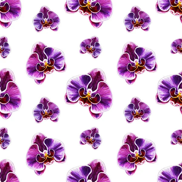 Χωρίς Ραφή Πρότυπο Ακουαρέλα Orchid Λουλούδια — Φωτογραφία Αρχείου
