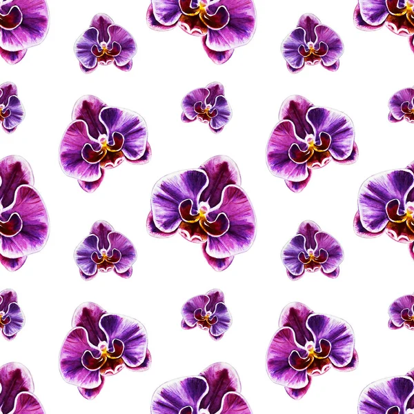 Seamless Pattern Watercolor Orchid Flowers — Stock Photo, Image