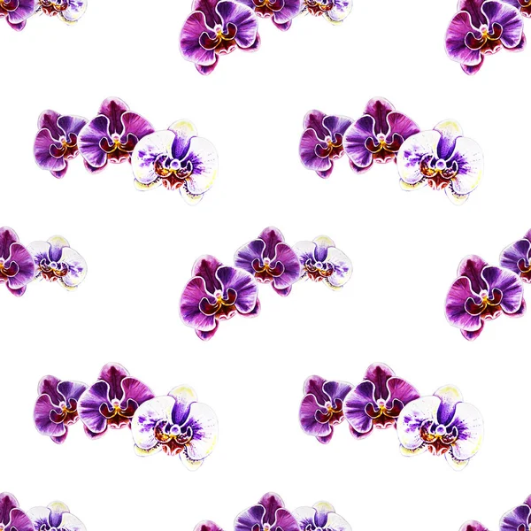 Seamless Pattern Watercolor Orchid Flowers — Stock Photo, Image