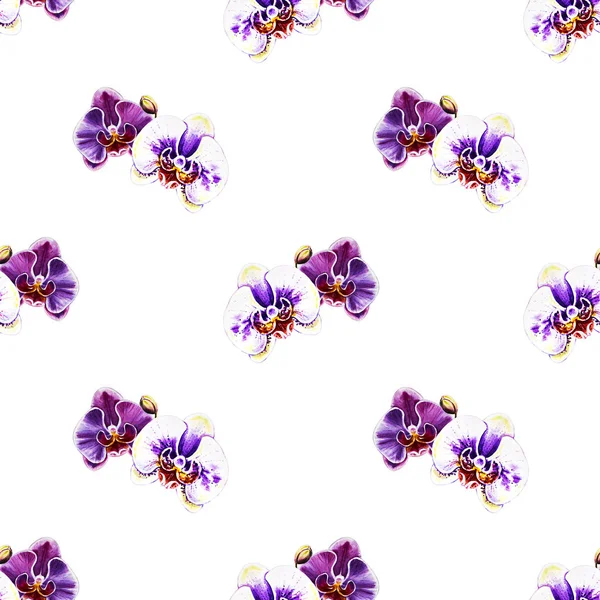 Patrón Sin Costura Con Flores Orquídea Acuarela — Foto de Stock
