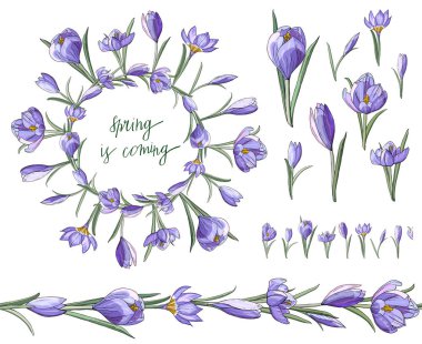 Mavi crocuses ve güzel çelenk çiçek fırça Stok vektör çiçek seti. İzole edilmiş ve elle çizilmiş illüstrasyon. Çiçek tasarımı, çiçek arka planı. Şenlikli el çizilmiş desen, bahar çiçekleri. Çiçekçilik için çiçek koleksiyonu. 