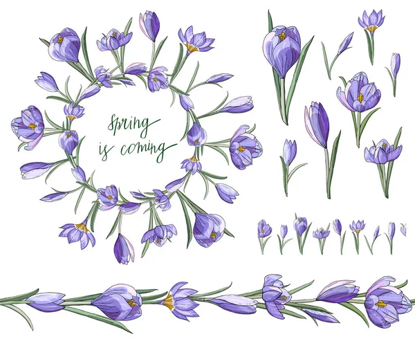 Mavi crocuses ve güzel çelenk çiçek fırça Stok vektör çiçek seti. İzole edilmiş ve elle çizilmiş illüstrasyon. Çiçek tasarımı, çiçek arka planı. Şenlikli el çizilmiş desen, bahar çiçekleri. Çiçekçilik için çiçek koleksiyonu. 