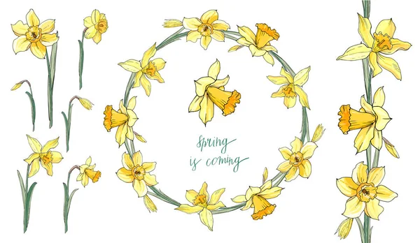 Stock Vector Kwiatowy Zestaw Bezszwowe Pędzla Kwiat Żółtym Narcissuss Piękny — Wektor stockowy