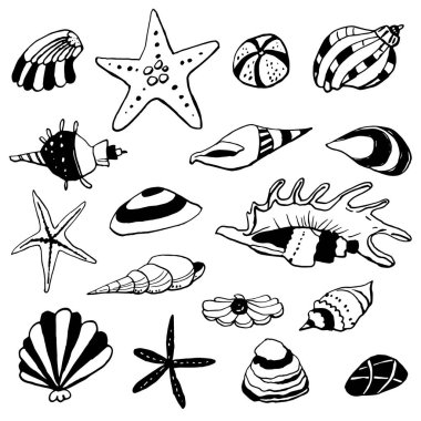 Beyaz zemin üzerinde deniz kabuğu mürekkep doodle koleksiyonu. Kusursuz desen. Sonsuz doku. Basılı malzemeler için kullanılabilir. Sualtı tatili arka planı. Elle çizilmiş tasarım elemanları. Şenlikli baskı.