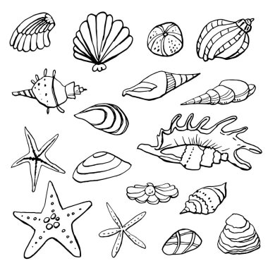 Beyaz zemin üzerinde deniz kabuğu mürekkep doodle koleksiyonu. Kusursuz desen. Sonsuz doku. Basılı malzemeler için kullanılabilir. Sualtı tatili arka planı. Elle çizilmiş tasarım elemanları. Şenlikli baskı.