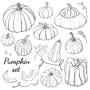 Sarı turuncu sonbahar kabakkoleksiyonu. Sonbahar hasadı. Vektör stok seti. Suluboya doku ile sevimli karikatürler. Cadılar Bayramı, Şükran Günü. Yemek geçmişi. Elle çizilmiş tasarım elemanları. 