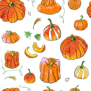 Parlak turuncu sonbahar kabakları dikişsiz desen. Sonbahar hasadı. Vektör stok seti. Suluboya doku ile sevimli karikatürler. Cadılar Bayramı, Şükran Günü. Yemek geçmişi. Elle çizilmiş tasarım elemanları. 