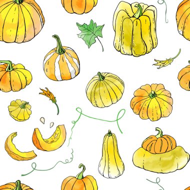 Sarı turuncu sonbahar kabakları dikişsiz desen. Sonbahar hasadı. Vektör stok seti. Suluboya doku ile sevimli karikatürler. Cadılar Bayramı, Şükran Günü. Yemek geçmişi. Elle çizilmiş tasarım elemanları. 
