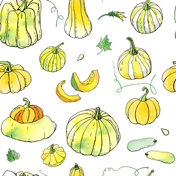 Sarı yeşil sonbahar kabakları dikişsiz desen. Sonbahar hasadı. Vektör stok seti. Suluboya doku ile sevimli karikatürler. Cadılar Bayramı, Şükran Günü. Yemek geçmişi. Elle çizilmiş tasarım elemanları. 