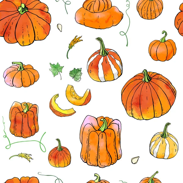 Parlak turuncu sonbahar kabakları dikişsiz desen. Sonbahar hasadı. Vektör stok seti. Suluboya doku ile sevimli karikatürler. Cadılar Bayramı, Şükran Günü. Yemek geçmişi. Elle çizilmiş tasarım elemanları. 
