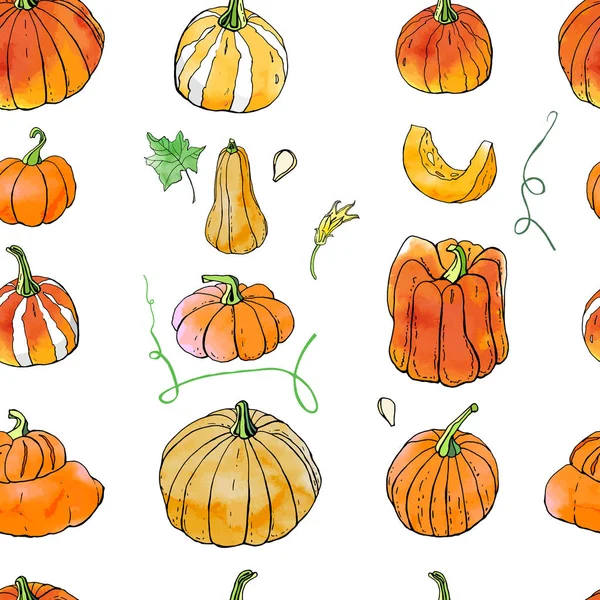 Parlak turuncu sonbahar kabakları dikişsiz desen. Sonbahar hasadı. Vektör stok seti. Suluboya doku ile sevimli karikatürler. Cadılar Bayramı, Şükran Günü. Yemek geçmişi. Elle çizilmiş tasarım elemanları. 