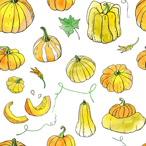 Sarı turuncu sonbahar kabakları dikişsiz desen. Sonbahar hasadı. Vektör stok seti. Suluboya doku ile sevimli karikatürler. Cadılar Bayramı, Şükran Günü. Yemek geçmişi. Elle çizilmiş tasarım elemanları. 